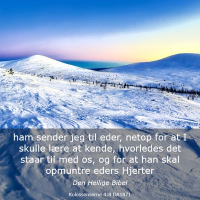 Picture 03 - Kolossenserne 4:8 DA1871 - ham sender jeg til eder, netop for at I skulle - Bible Verse Picture