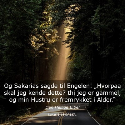 Picture 03 - Lukas 1:18 DA1871 - Og Sakarias sagde til Engelen: „Hvorpaa skal - Bible Verse Picture