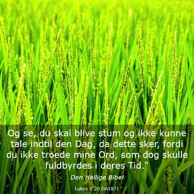 Picture 03 - Lukas 1:20 DA1871 - Og se, du skal blive stum og ikke kunne tale - Bible Verse Picture