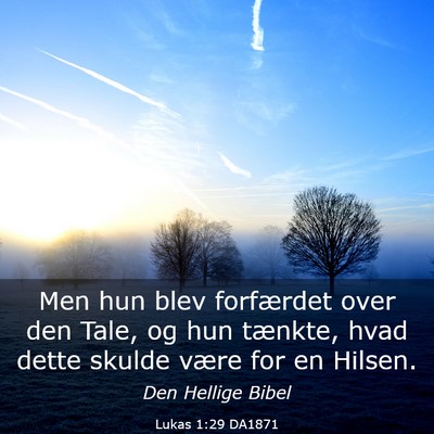 Picture 03 - Lukas 1:29 DA1871 - Men hun blev forfærdet over den Tale, og hun - Bible Verse Picture