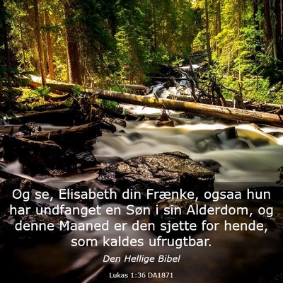 Picture 03 - Lukas 1:36 DA1871 - Og se, Elisabeth din Frænke, ogsaa hun har - Bible Verse Picture