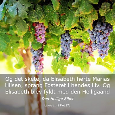 Picture 03 - Lukas 1:41 DA1871 - Og det skete, da Elisabeth hørte Marias Hilsen, - Bible Verse Picture