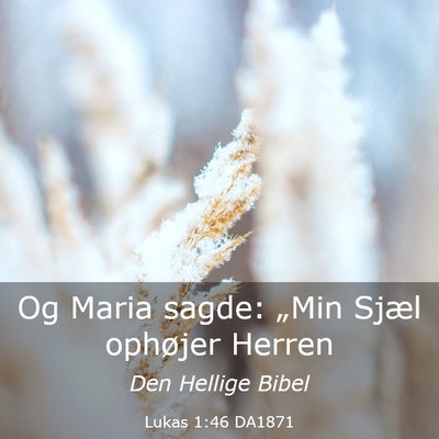Picture 03 - Lukas 1:46 DA1871 - Og Maria sagde: „Min Sjæl ophøjer - Bible Verse Picture