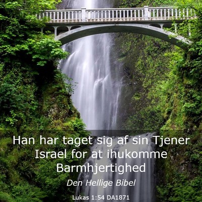 Picture 03 - Lukas 1:54 DA1871 - Han har taget sig af sin Tjener Israel for at - Bible Verse Picture