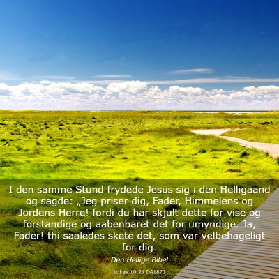 Picture 03 - Lukas 10:21 DA1871 - I den samme Stund frydede Jesus sig i den - Bible Verse Picture