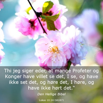 Picture 03 - Lukas 10:24 DA1871 - Thi jeg siger eder, at mange Profeter og Konger - Bible Verse Picture