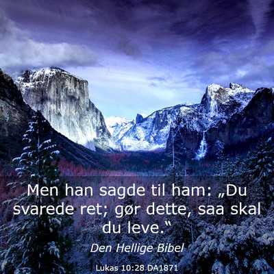 Picture 03 - Lukas 10:28 DA1871 - Men han sagde til ham: „Du svarede ret; gør - Bible Verse Picture