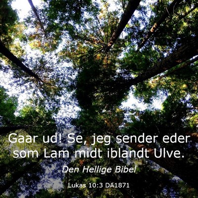Picture 03 - Lukas 10:3 DA1871 - Gaar ud! Se, jeg sender eder som Lam midt iblandt - Bible Verse Picture