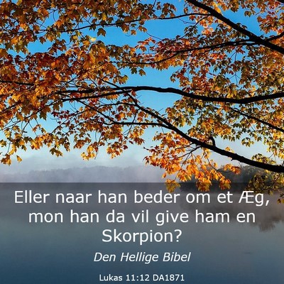 Picture 03 - Lukas 11:12 DA1871 - Eller naar han beder om et Æg, mon han da vil - Bible Verse Picture