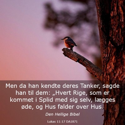 Picture 03 - Lukas 11:17 DA1871 - Men da han kendte deres Tanker, sagde han til - Bible Verse Picture