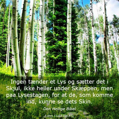 Picture 03 - Lukas 11:33 DA1871 - Ingen tænder et Lys og sætter det i Skjul, ikke - Bible Verse Picture