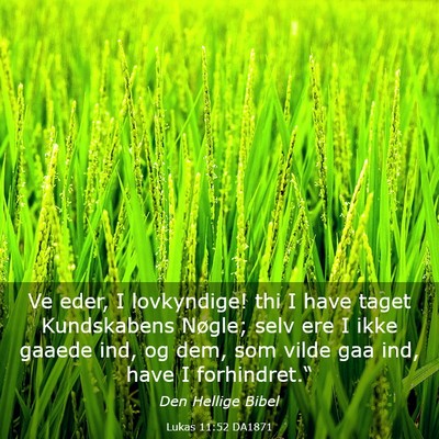 Picture 03 - Lukas 11:52 DA1871 - Ve eder, I lovkyndige! thi I have taget - Bible Verse Picture