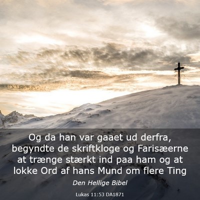 Picture 03 - Lukas 11:53 DA1871 - Og da han var gaaet ud derfra, begyndte de - Bible Verse Picture