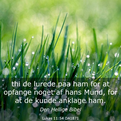 Picture 03 - Lukas 11:54 DA1871 - thi de lurede paa ham for at opfange noget af - Bible Verse Picture