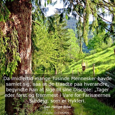 Picture 03 - Lukas 12:1 DA1871 - Da imidlertid mange Tusinde Mennesker havde - Bible Verse Picture
