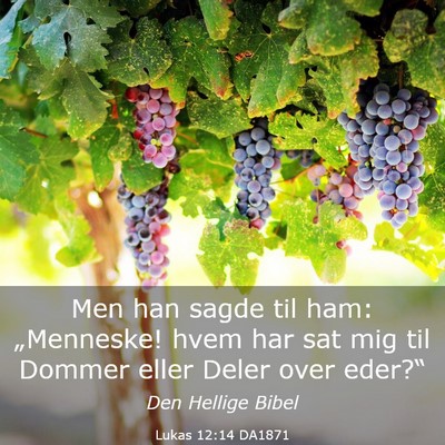 Picture 03 - Lukas 12:14 DA1871 - Men han sagde til ham: „Menneske! hvem har sat - Bible Verse Picture