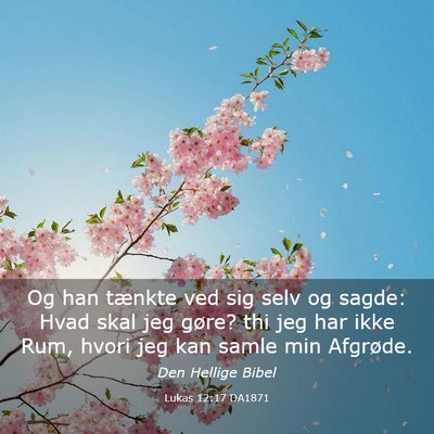 Picture 03 - Lukas 12:17 DA1871 - Og han tænkte ved sig selv og sagde: Hvad skal - Bible Verse Picture