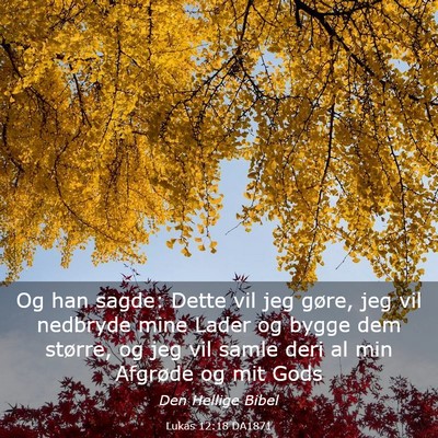 Picture 03 - Lukas 12:18 DA1871 - Og han sagde: Dette vil jeg gøre, jeg vil - Bible Verse Picture