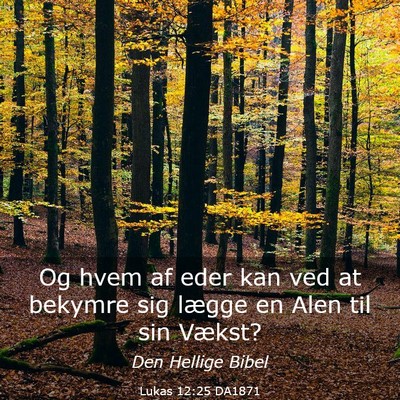 Picture 03 - Lukas 12:25 DA1871 - Og hvem af eder kan ved at bekymre sig lægge en - Bible Verse Picture