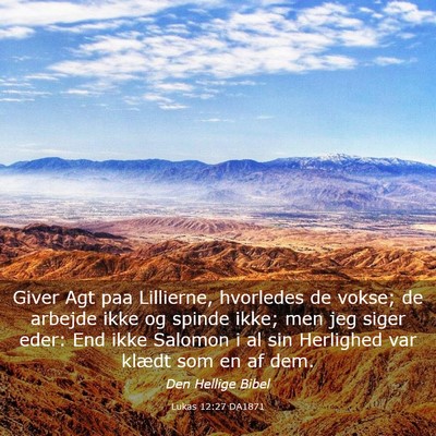 Picture 03 - Lukas 12:27 DA1871 - Giver Agt paa Lillierne, hvorledes de vokse; de - Bible Verse Picture
