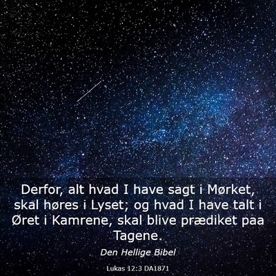 Picture 03 - Lukas 12:3 DA1871 - Derfor, alt hvad I have sagt i Mørket, skal - Bible Verse Picture