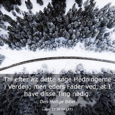 Picture 03 - Lukas 12:30 DA1871 - Thi efter alt dette søge Hedningerne i Verden; - Bible Verse Picture