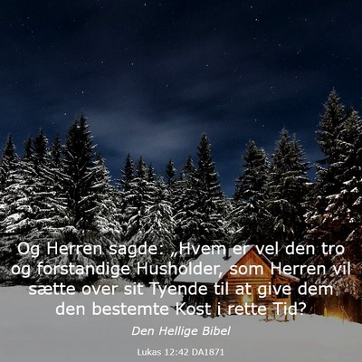 Picture 03 - Lukas 12:42 DA1871 - Og Herren sagde: „Hvem er vel den tro og - Bible Verse Picture