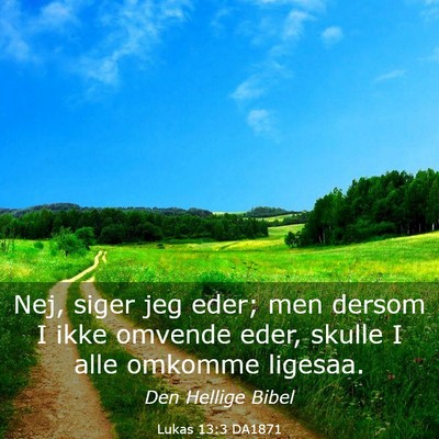 Picture 03 - Lukas 13:3 DA1871 - Nej, siger jeg eder; men dersom I ikke omvende - Bible Verse Picture