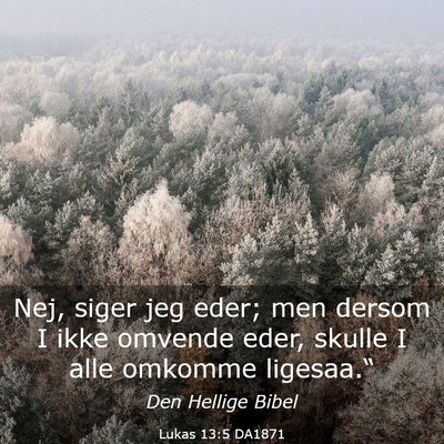 Picture 03 - Lukas 13:5 DA1871 - Nej, siger jeg eder; men dersom I ikke omvende - Bible Verse Picture