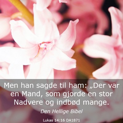 Picture 03 - Lukas 14:16 DA1871 - Men han sagde til ham: „Der var en Mand, som - Bible Verse Picture