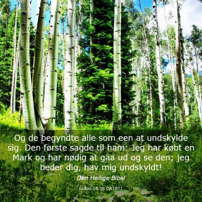 Picture 03 - Lukas 14:18 DA1871 - Og de begyndte alle som een at undskylde sig. Den - Bible Verse Picture