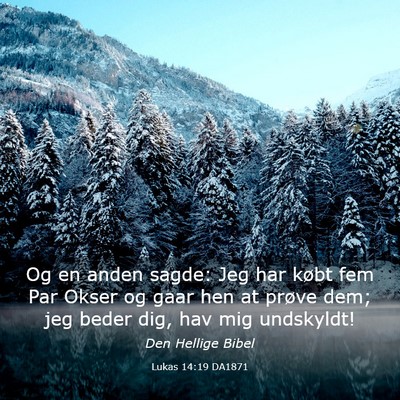 Picture 03 - Lukas 14:19 DA1871 - Og en anden sagde: Jeg har købt fem Par Okser og - Bible Verse Picture