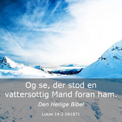 Picture 03 - Lukas 14:2 DA1871 - Og se, der stod en vattersottig Mand foran - Bible Verse Picture