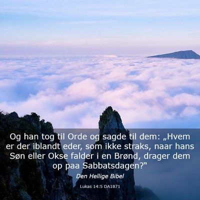 Picture 03 - Lukas 14:5 DA1871 - Og han tog til Orde og sagde til dem: „Hvem er - Bible Verse Picture