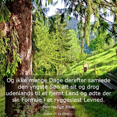 Picture 03 - Lukas 15:13 DA1871 - Og ikke mange Dage derefter samlede den yngste - Bible Verse Picture