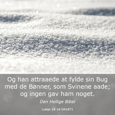 Picture 03 - Lukas 15:16 DA1871 - Og han attraaede at fylde sin Bug med de Bønner, - Bible Verse Picture