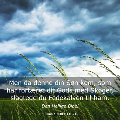 Picture 03 - Lukas 15:30 DA1871 - Men da denne din Søn kom, som har fortæret dit - Bible Verse Picture