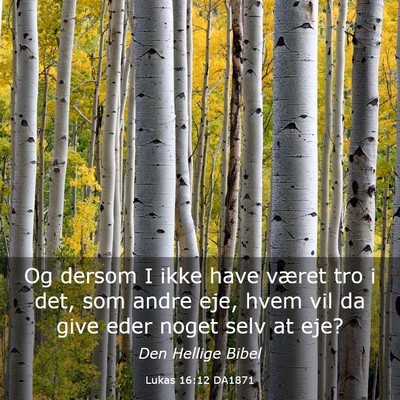 Picture 03 - Lukas 16:12 DA1871 - Og dersom I ikke have været tro i det, som andre - Bible Verse Picture
