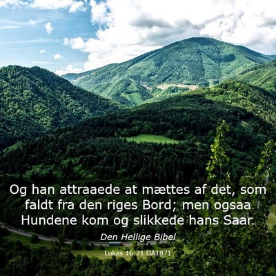 Picture 03 - Lukas 16:21 DA1871 - Og han attraaede at mættes af det, som faldt fra - Bible Verse Picture