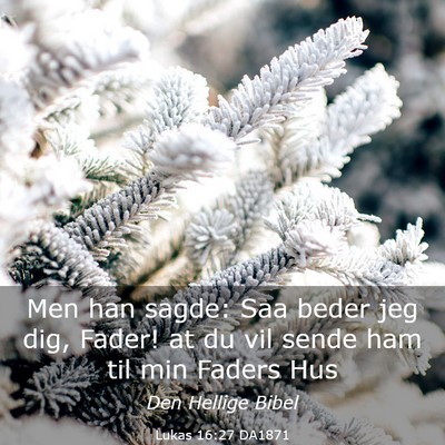 Picture 03 - Lukas 16:27 DA1871 - Men han sagde: Saa beder jeg dig, Fader! at du - Bible Verse Picture