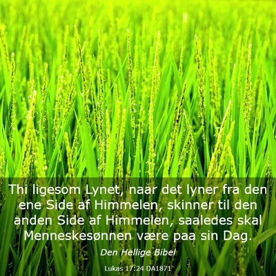 Picture 03 - Lukas 17:24 DA1871 - Thi ligesom Lynet, naar det lyner fra den ene - Bible Verse Picture