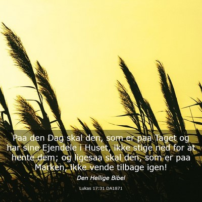 Picture 03 - Lukas 17:31 DA1871 - Paa den Dag skal den, som er paa Taget og har - Bible Verse Picture