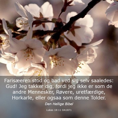 Picture 03 - Lukas 18:11 DA1871 - Farisæeren stod og bad ved sig selv saaledes: - Bible Verse Picture