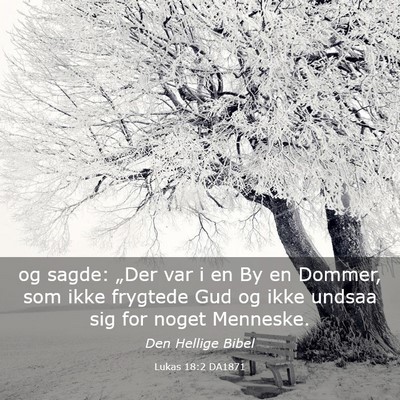 Picture 03 - Lukas 18:2 DA1871 - og sagde: „Der var i en By en Dommer, som ikke - Bible Verse Picture