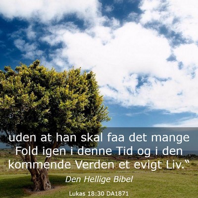 Picture 03 - Lukas 18:30 DA1871 - uden at han skal faa det mange Fold igen i denne - Bible Verse Picture