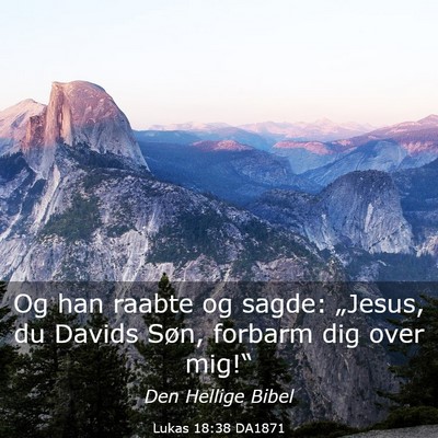 Picture 03 - Lukas 18:38 DA1871 - Og han raabte og sagde: „Jesus, du Davids Søn, - Bible Verse Picture