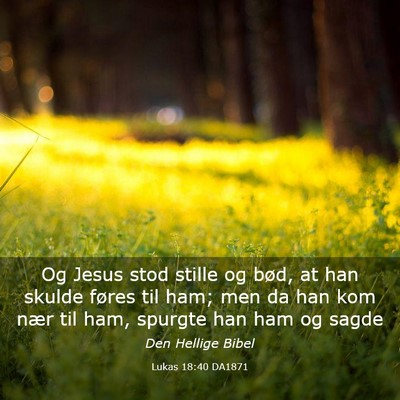 Picture 03 - Lukas 18:40 DA1871 - Og Jesus stod stille og bød, at han skulde - Bible Verse Picture