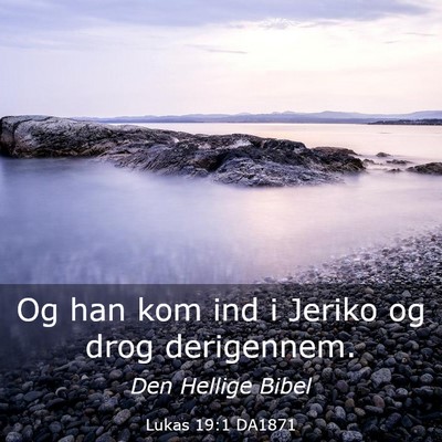 Picture 03 - Lukas 19:1 DA1871 - Og han kom ind i Jeriko og drog - Bible Verse Picture