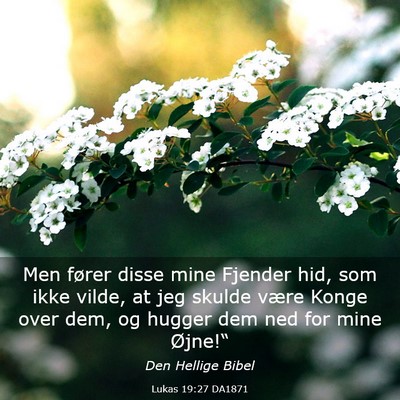 Picture 03 - Lukas 19:27 DA1871 - Men fører disse mine Fjender hid, som ikke - Bible Verse Picture
