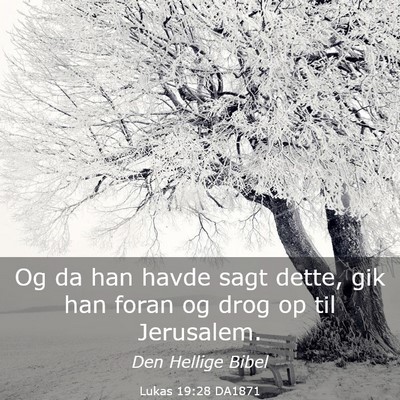 Picture 03 - Lukas 19:28 DA1871 - Og da han havde sagt dette, gik han foran og drog - Bible Verse Picture